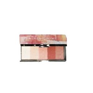 NIB Touch In Sol Glowdient Palette